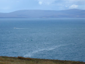 Scapa_Flow_from_Gaitnip_cliffs_small